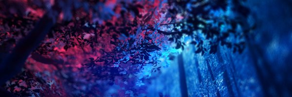 RacerFPS Profile Banner