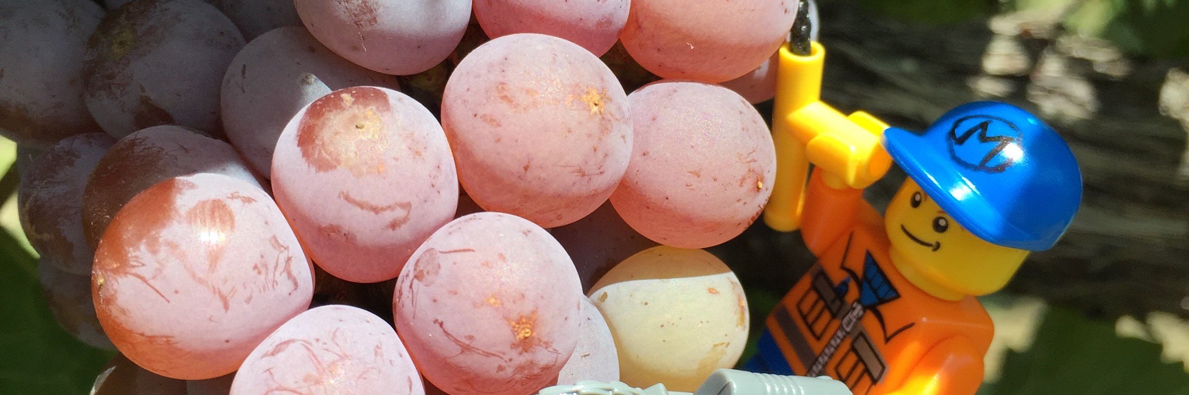 mannerswine's profile banner image
