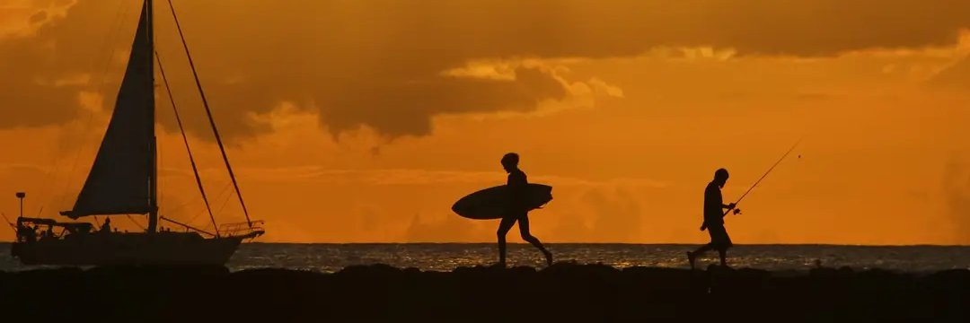 Matt who loves tacos so much he moved to Mexico. banner