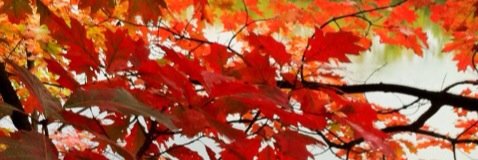 ekgrooms's profile banner image