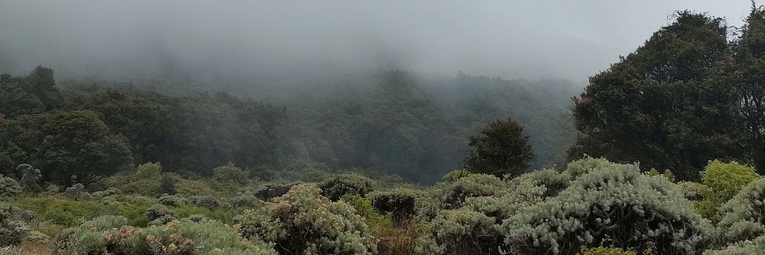 mlndwr's profile banner image