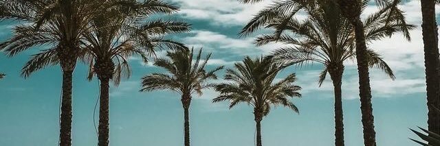 UlisesBarbey27's profile banner image
