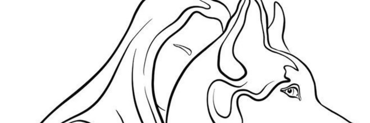 joxla's profile banner image