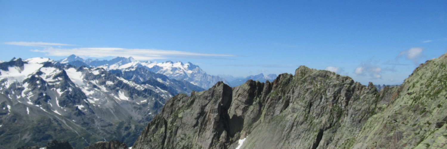 Angela Goncalves banner