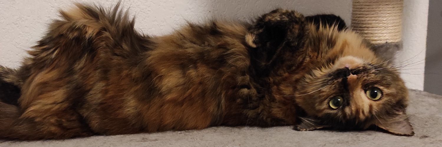 amelia_off's profile banner image