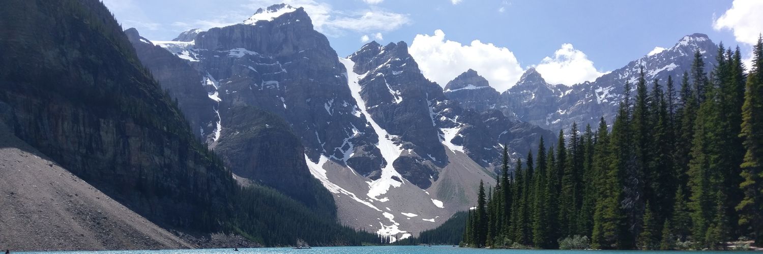 БОББИ КАНГ banner