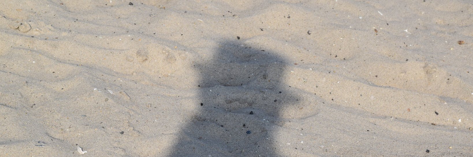 LisaBurdige's profile banner image