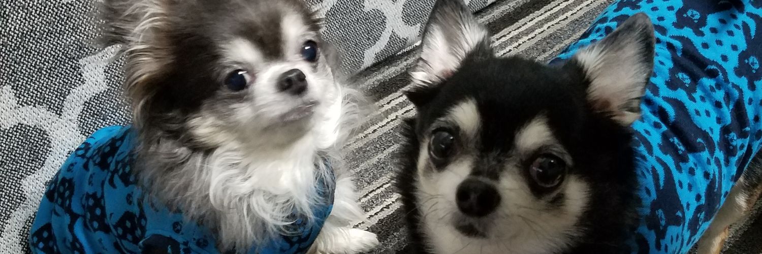 poo3652's profile banner image