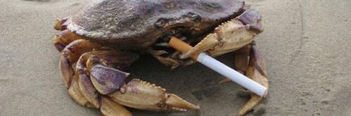 hpaulissian's profile banner image