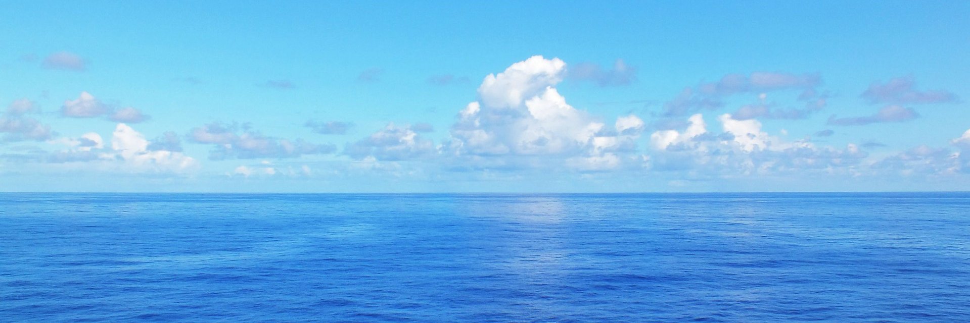 zeinabplus's profile banner image