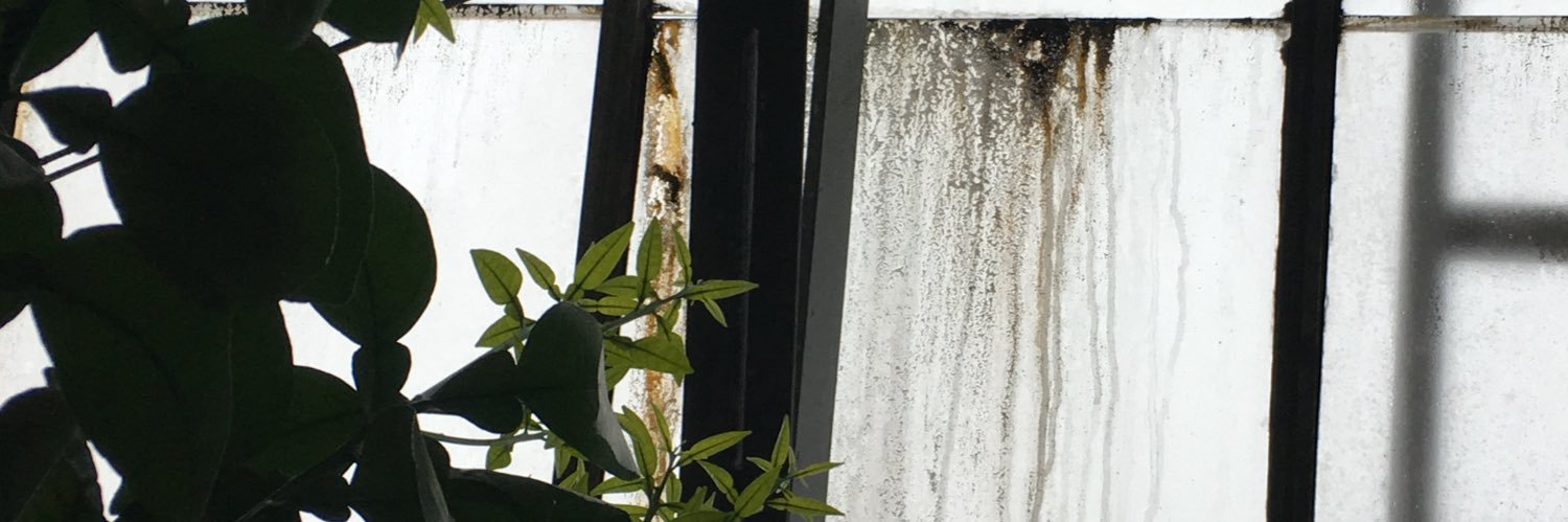 Zacharach's profile banner image