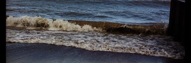 WeRAllW_tnesses's profile banner image