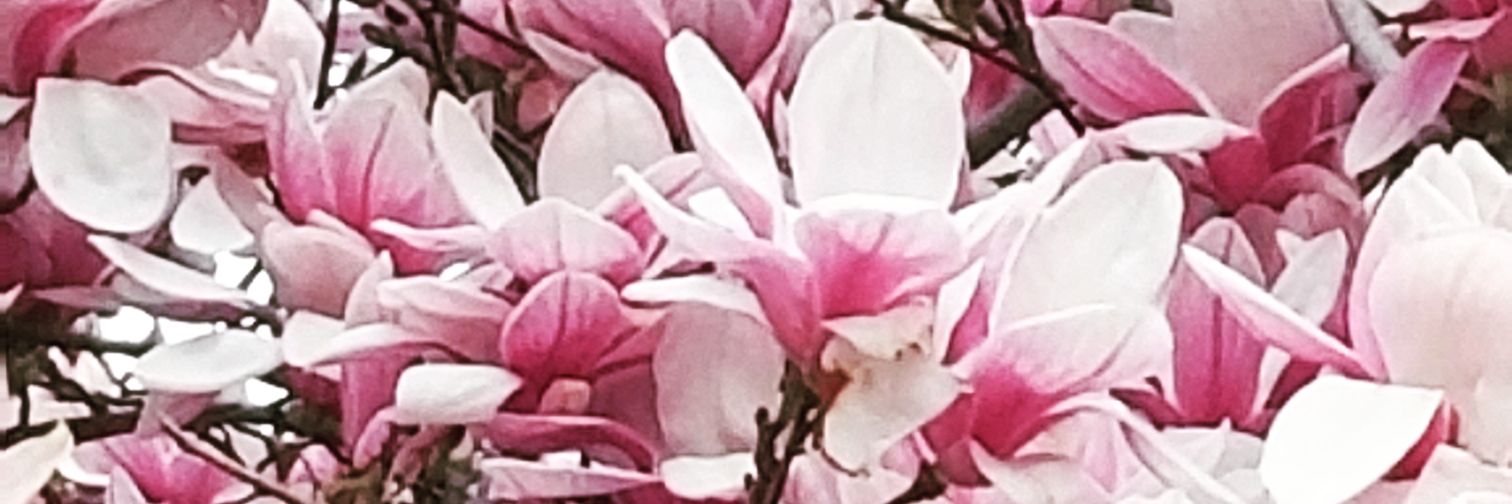 GrettaLadygee's profile banner image