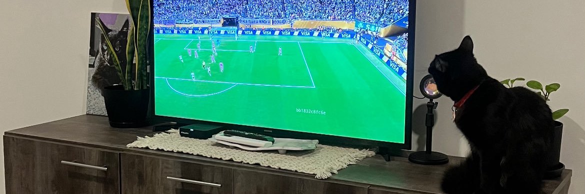 NicolasAste's profile banner image