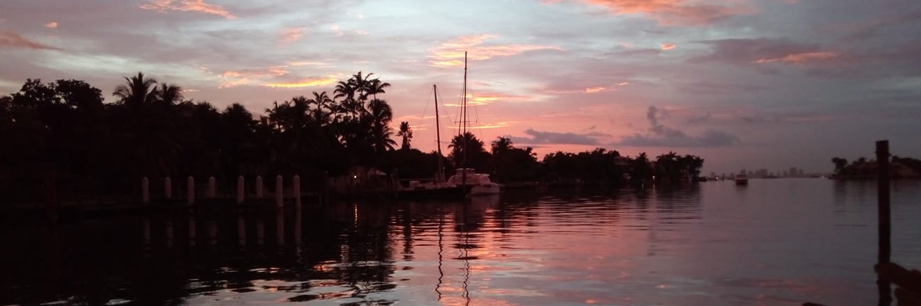 Carolyn • ✡️🎗☕🌊🌴📷☀️ banner