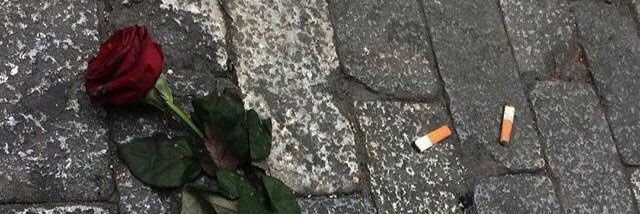 braidedangell's profile banner image