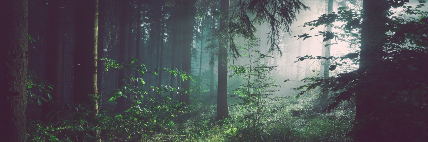 Robin A Gittens banner