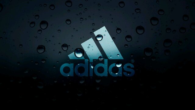 Rudi banner