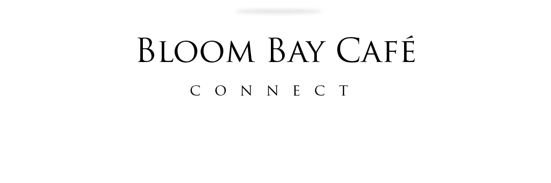 BloomBayGlobal's profile banner image
