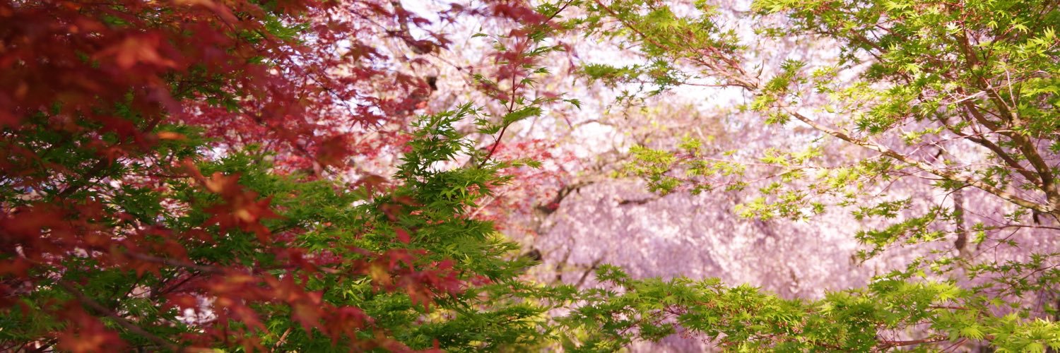 kur111's profile banner image