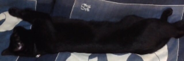 jamgreed7's profile banner image