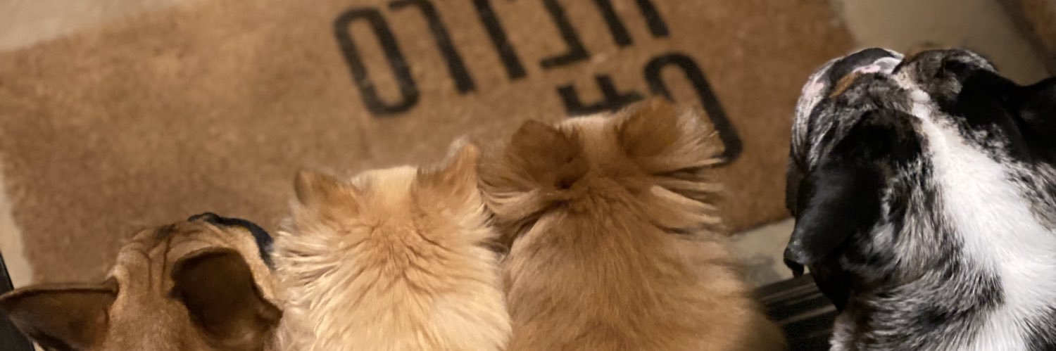 NuffleScruffle's profile banner image