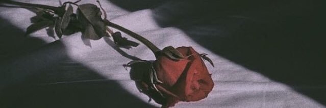 emilisinta's profile banner image