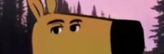 Peej banner