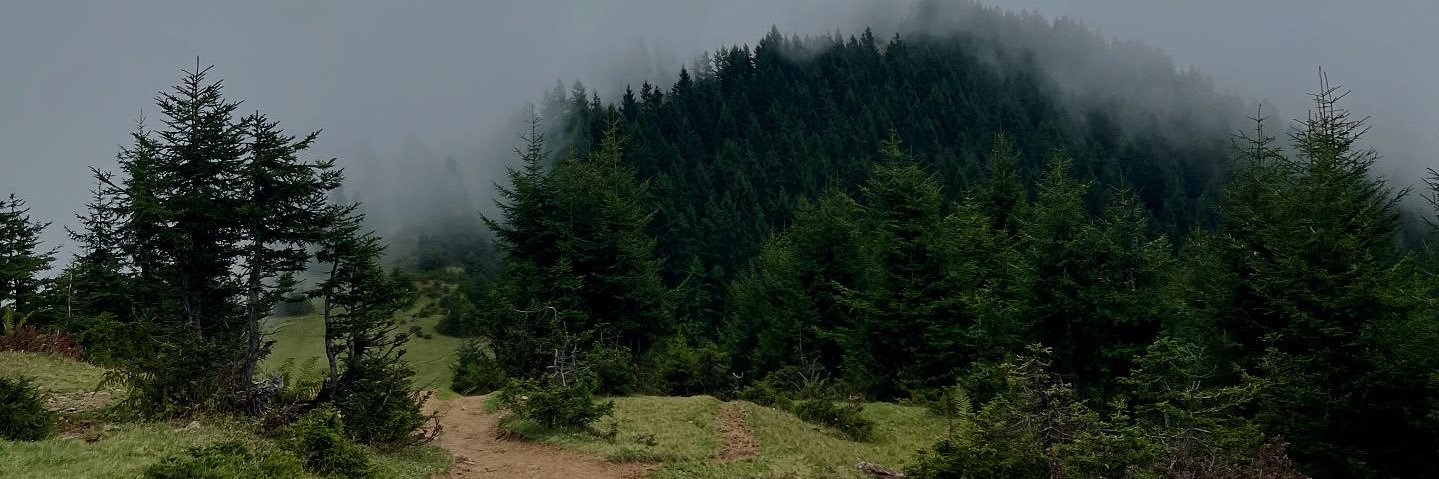 muukaddem's profile banner image