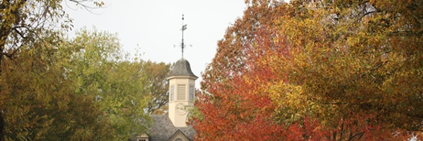 WM_CFGE Profile Banner