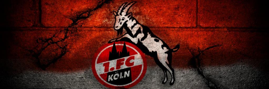 Koelletom1's profile banner image