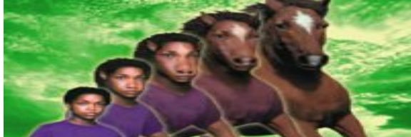 captaincharo's profile banner image