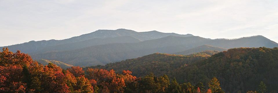 cfallon57's profile banner image