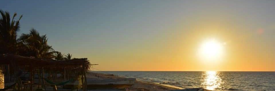 El abominable Hawk’y de las nieves de limón banner