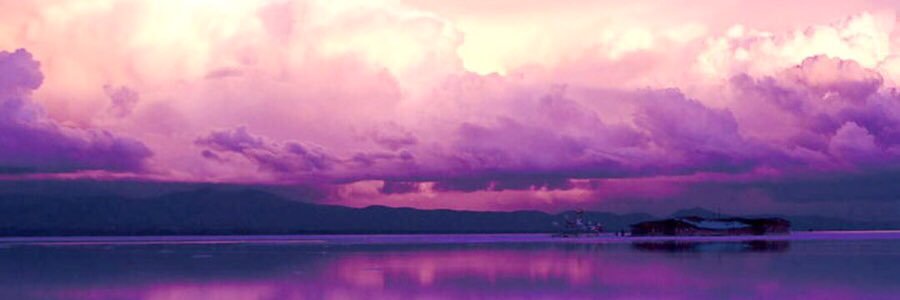 mdmdLlm's profile banner image