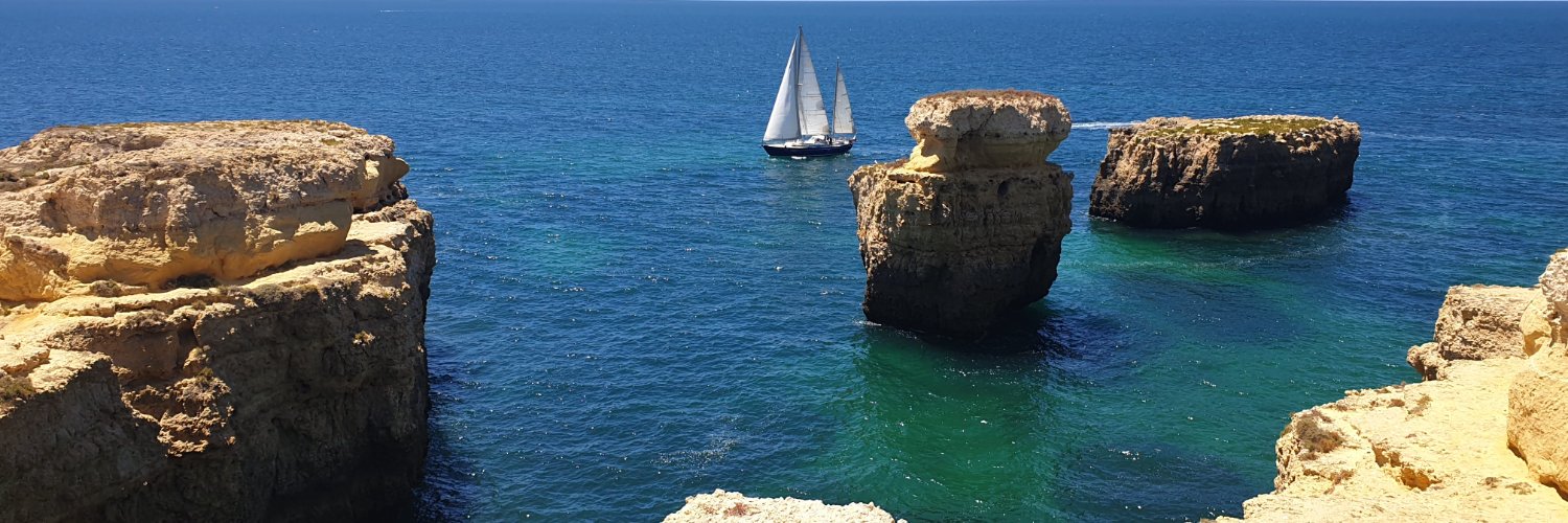 TraderDan™️ banner