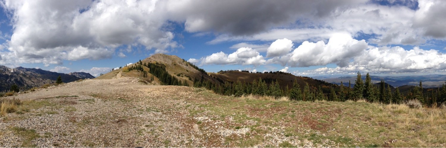 Catherine Sterling banner