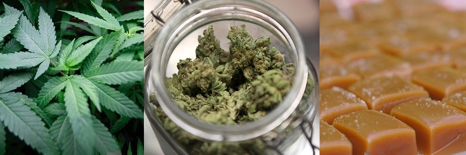 BaileyMMJ's profile banner image