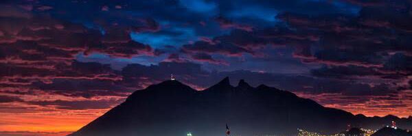 Ricardo Salinas banner