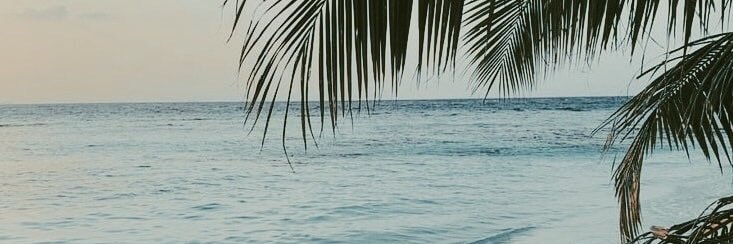 imCALM's profile banner image