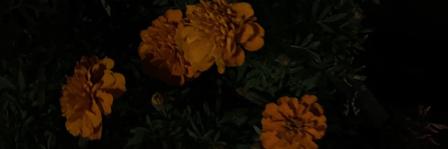 J___uri_'s profile banner image