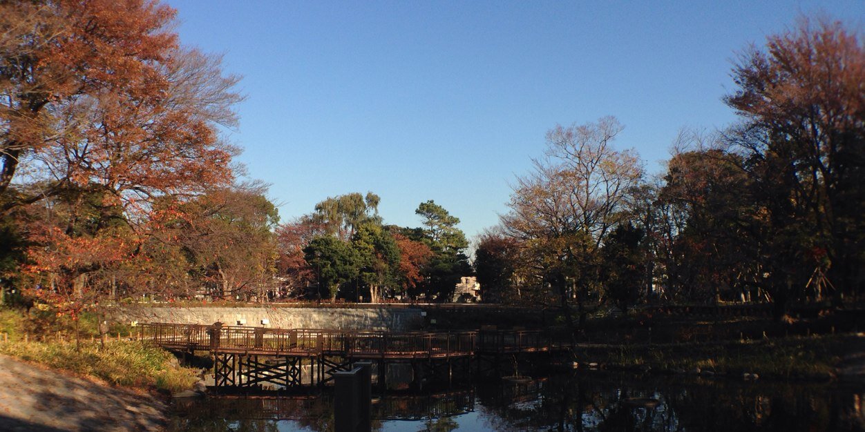 yoshidayosh_'s profile banner image