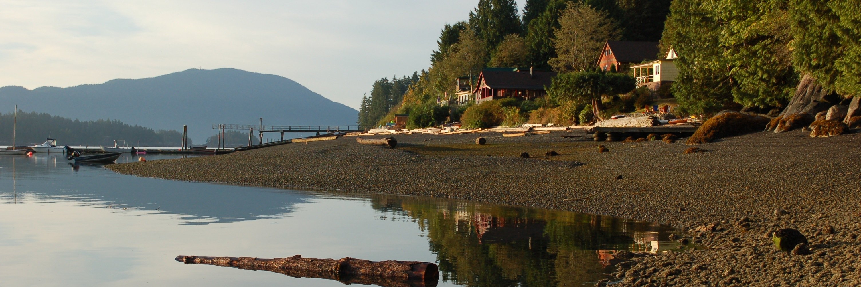 Andrea Townson banner