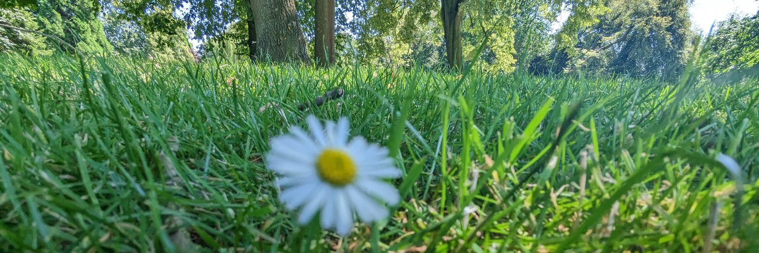 Adebowale Owoseni banner
