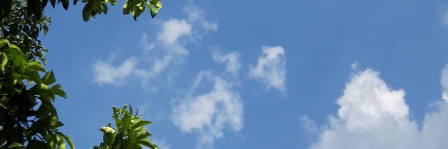 puspitaps's profile banner image