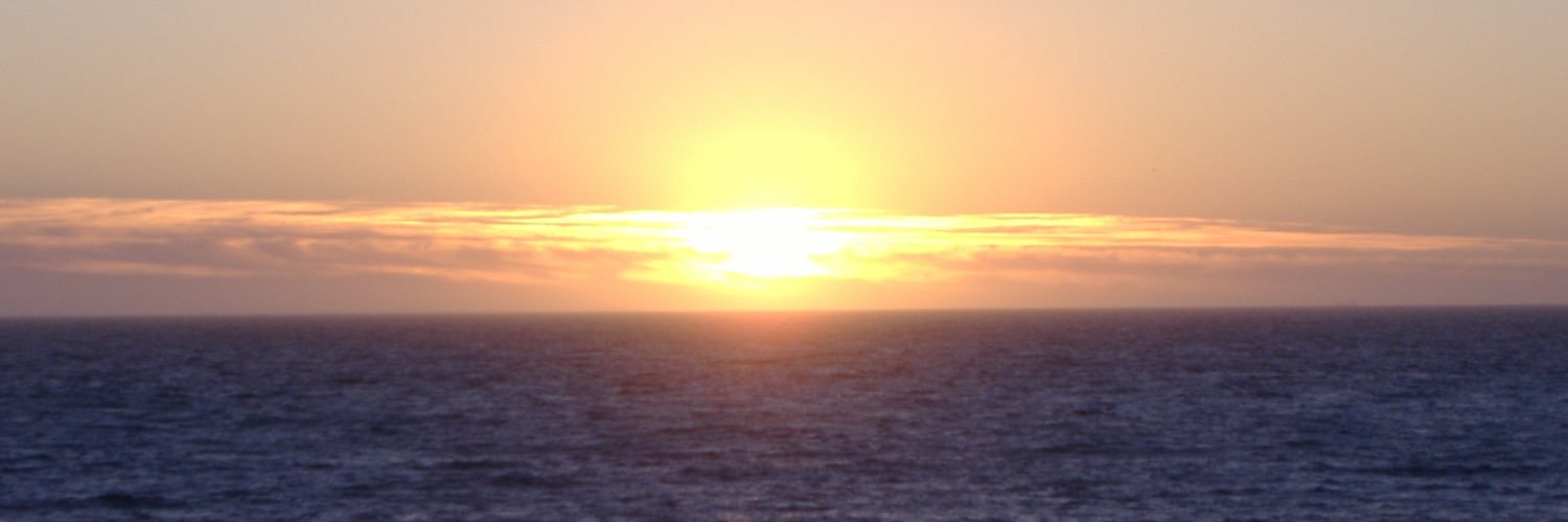 allnewcoxy's profile banner image