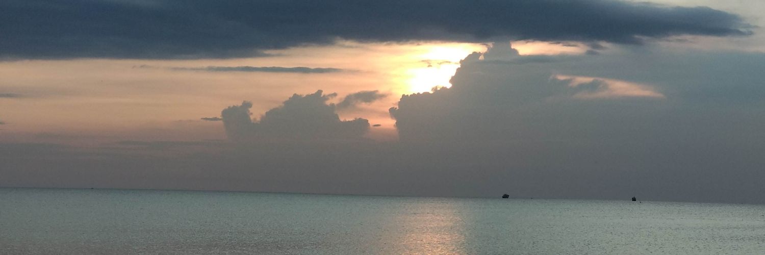 dskinyu's profile banner image
