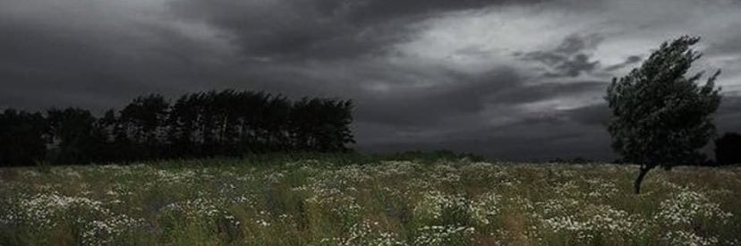 jacobdougie's profile banner image