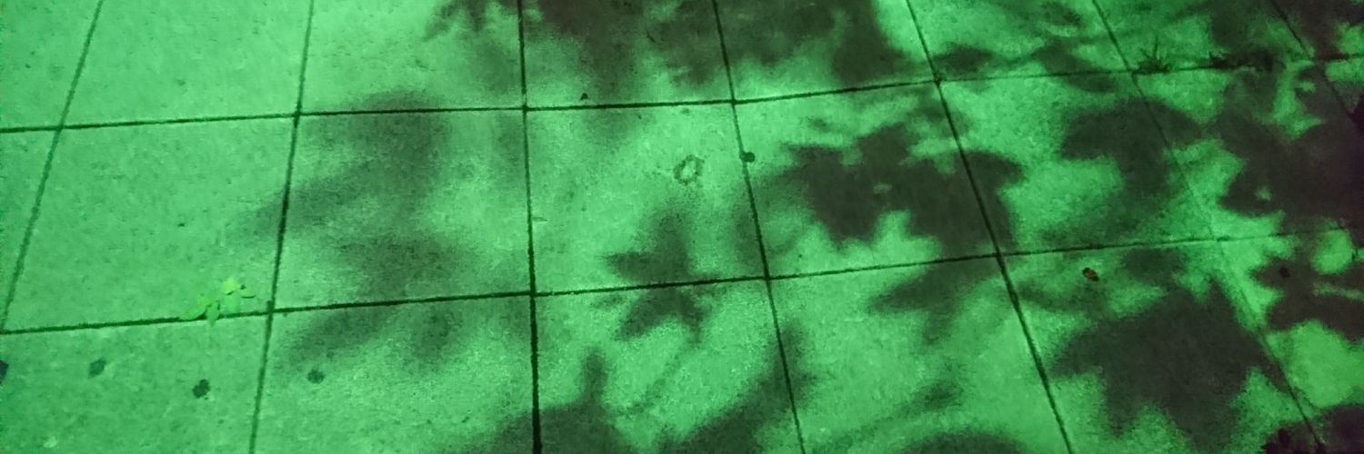 NanniAll's profile banner image