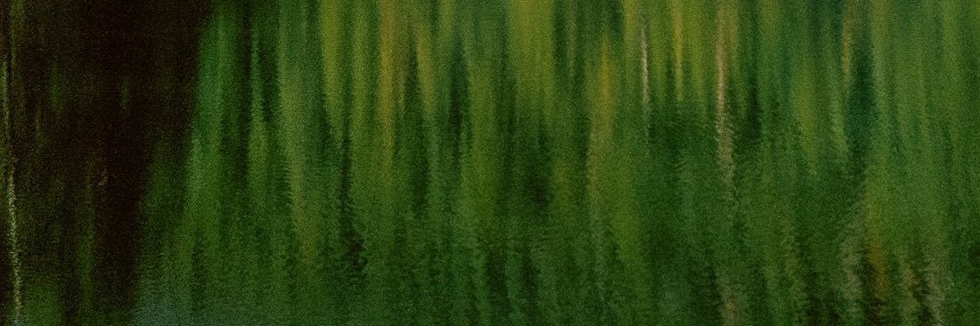 cconnorphillips's profile banner image
